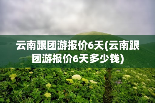 云南跟团游报价6天(云南跟团游报价6天多少钱)