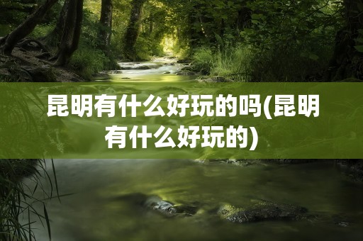 昆明有什么好玩的吗(昆明有什么好玩的)
