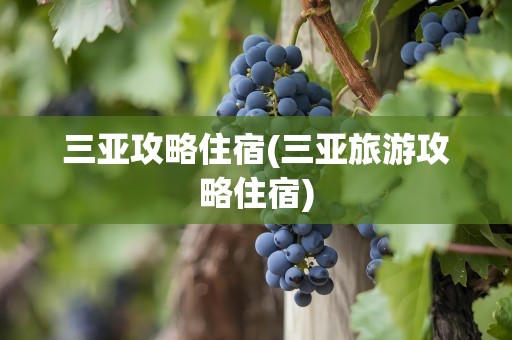 三亚攻略住宿(三亚旅游攻略住宿)