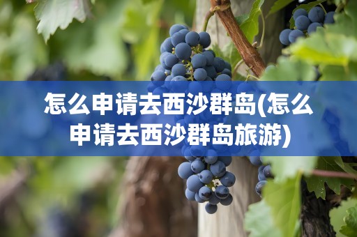 怎么申请去西沙群岛(怎么申请去西沙群岛旅游)
