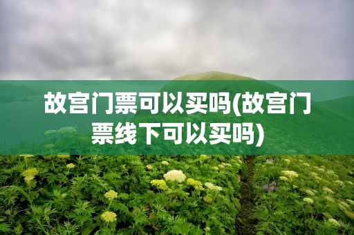 故宫门票可以买吗(故宫门票线下可以买吗)