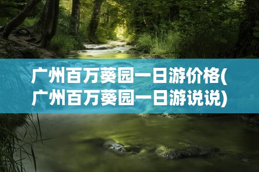 广州百万葵园一日游价格(广州百万葵园一日游说说)