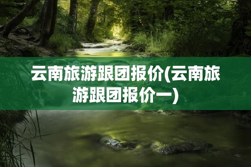 云南旅游跟团报价(云南旅游跟团报价一)