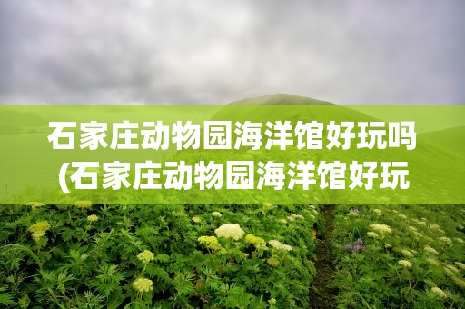 石家庄动物园海洋馆好玩吗(石家庄动物园海洋馆好玩吗现在)