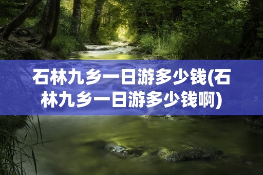 石林九乡一日游多少钱(石林九乡一日游多少钱啊)