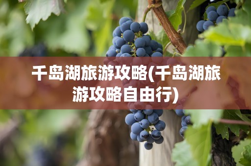 千岛湖旅游攻略(千岛湖旅游攻略自由行)