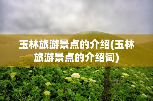 玉林旅游景点的介绍(玉林旅游景点的介绍词)