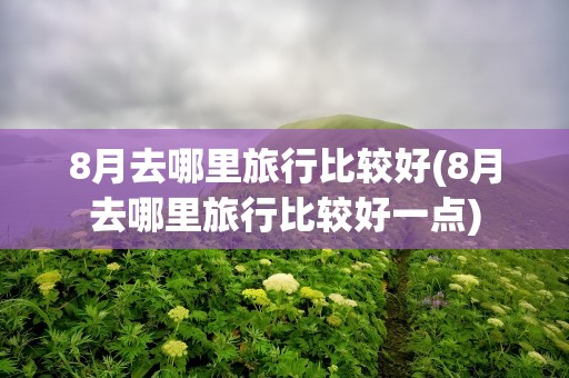 8月去哪里旅行比较好(8月去哪里旅行比较好一点)