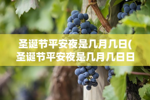 圣诞节平安夜是几月几日(圣诞节平安夜是几月几日日)