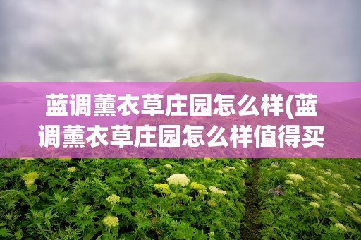 蓝调薰衣草庄园怎么样(蓝调薰衣草庄园怎么样值得买吗)