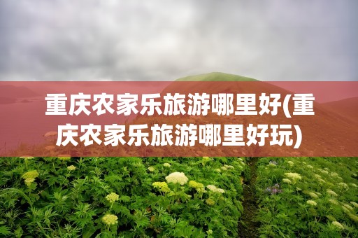 重庆农家乐旅游哪里好(重庆农家乐旅游哪里好玩)
