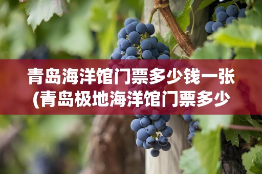 青岛海洋馆门票多少钱一张(青岛极地海洋馆门票多少钱一张)