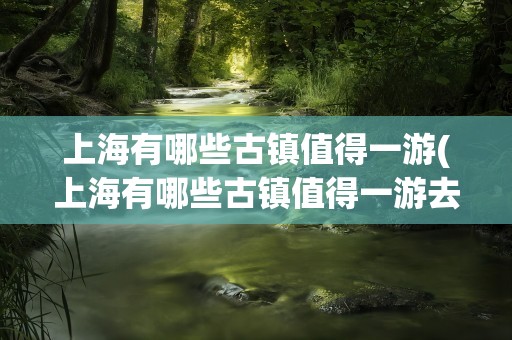 上海有哪些古镇值得一游(上海有哪些古镇值得一游去)
