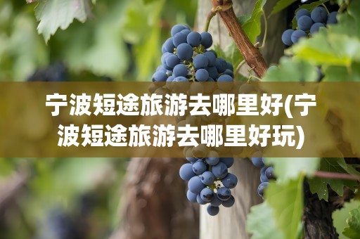宁波短途旅游去哪里好(宁波短途旅游去哪里好玩)