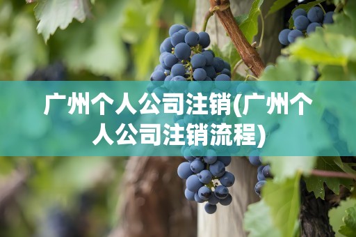 广州个人公司注销(广州个人公司注销流程)