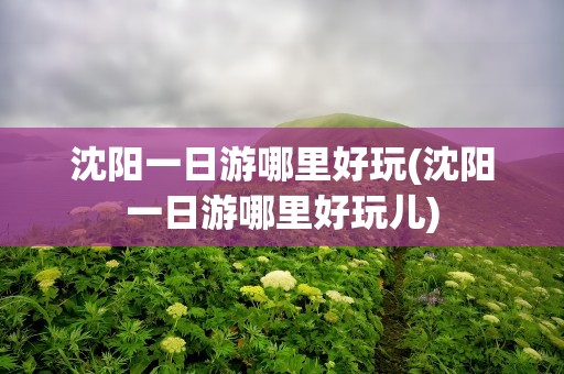 沈阳一日游哪里好玩(沈阳一日游哪里好玩儿)