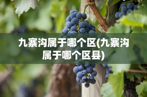 九寨沟属于哪个区(九寨沟属于哪个区县)