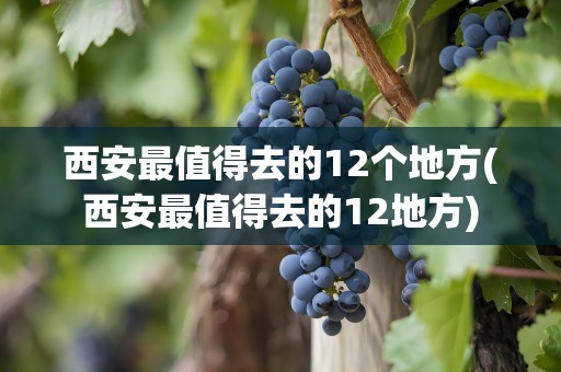 西安最值得去的12个地方(西安最值得去的12地方)
