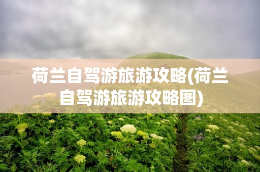 荷兰自驾游旅游攻略(荷兰自驾游旅游攻略图)
