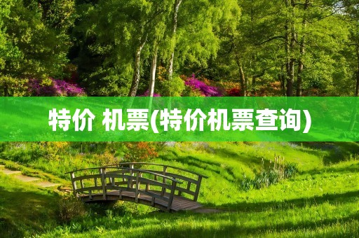 特价 机票(特价机票查询)