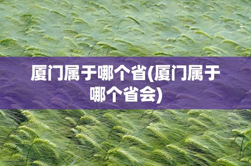 厦门属于哪个省(厦门属于哪个省会)