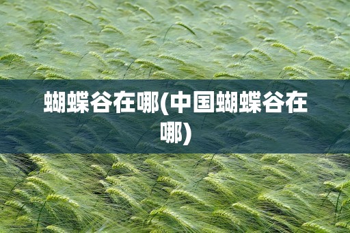 蝴蝶谷在哪(中国蝴蝶谷在哪)