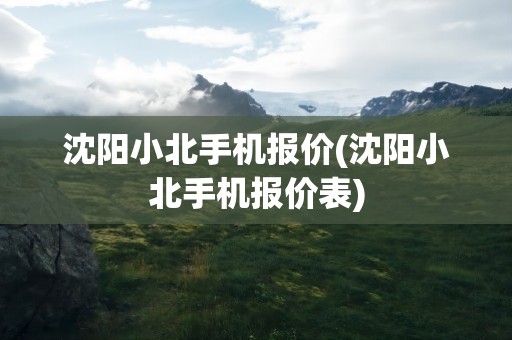 沈阳小北手机报价(沈阳小北手机报价表)