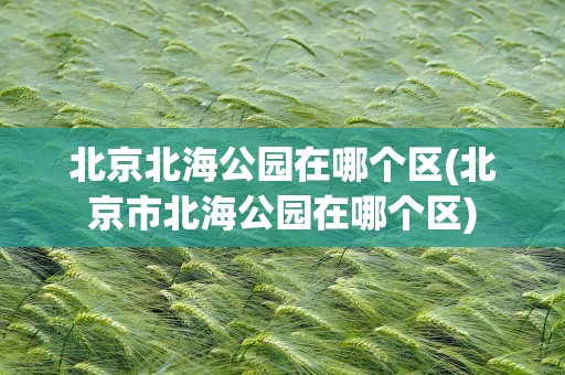 北京北海公园在哪个区(北京市北海公园在哪个区)