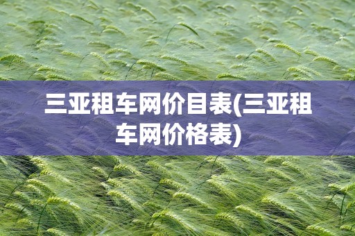 三亚租车网价目表(三亚租车网价格表)