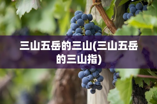 三山五岳的三山(三山五岳的三山指)
