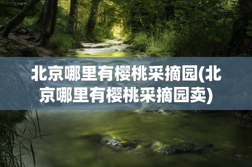北京哪里有樱桃采摘园(北京哪里有樱桃采摘园卖)