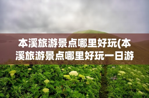 本溪旅游景点哪里好玩(本溪旅游景点哪里好玩一日游)