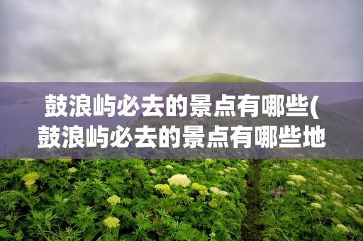 鼓浪屿必去的景点有哪些(鼓浪屿必去的景点有哪些地方)