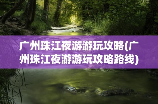 广州珠江夜游游玩攻略(广州珠江夜游游玩攻略路线)