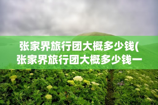 张家界旅行团大概多少钱(张家界旅行团大概多少钱一天)