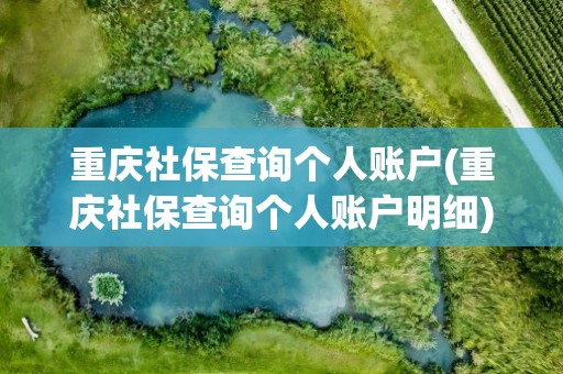 重庆社保查询个人账户(重庆社保查询个人账户明细)