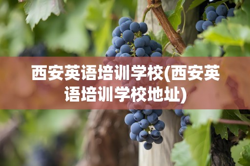 西安英语培训学校(西安英语培训学校地址)