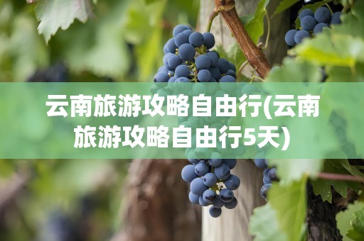 云南旅游攻略自由行(云南旅游攻略自由行5天)