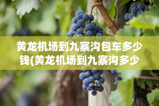 黄龙机场到九寨沟包车多少钱(黄龙机场到九寨沟多少小时)
