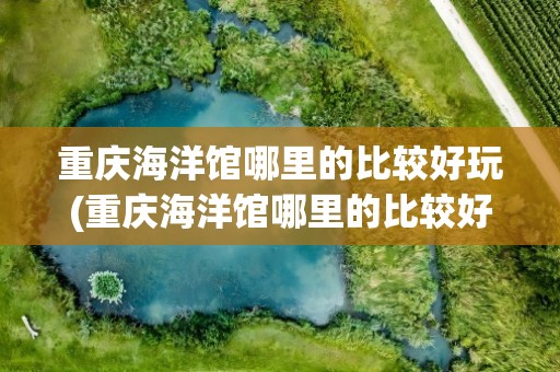 重庆海洋馆哪里的比较好玩(重庆海洋馆哪里的比较好玩啊)