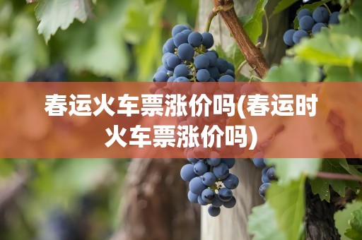 春运火车票涨价吗(春运时火车票涨价吗)