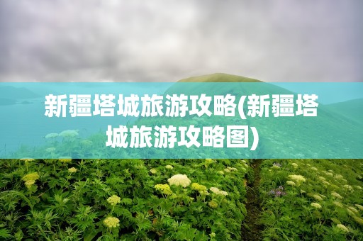 新疆塔城旅游攻略(新疆塔城旅游攻略图)