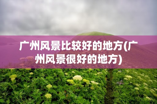 广州风景比较好的地方(广州风景很好的地方)