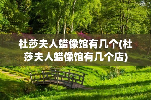 杜莎夫人蜡像馆有几个(杜莎夫人蜡像馆有几个店)