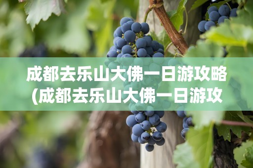 成都去乐山大佛一日游攻略(成都去乐山大佛一日游攻略图)