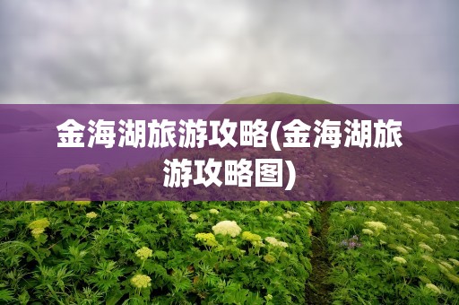 金海湖旅游攻略(金海湖旅游攻略图)