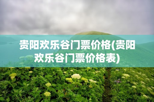 贵阳欢乐谷门票价格(贵阳欢乐谷门票价格表)