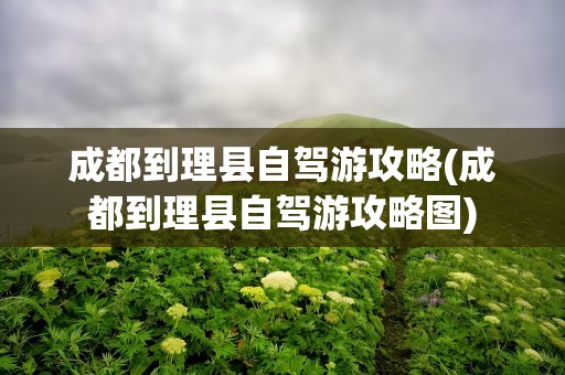 成都到理县自驾游攻略(成都到理县自驾游攻略图)