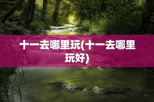 十一去哪里玩(十一去哪里玩好)