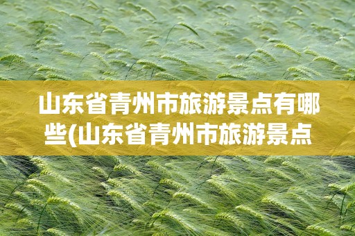 山东省青州市旅游景点有哪些(山东省青州市旅游景点有哪些地方)